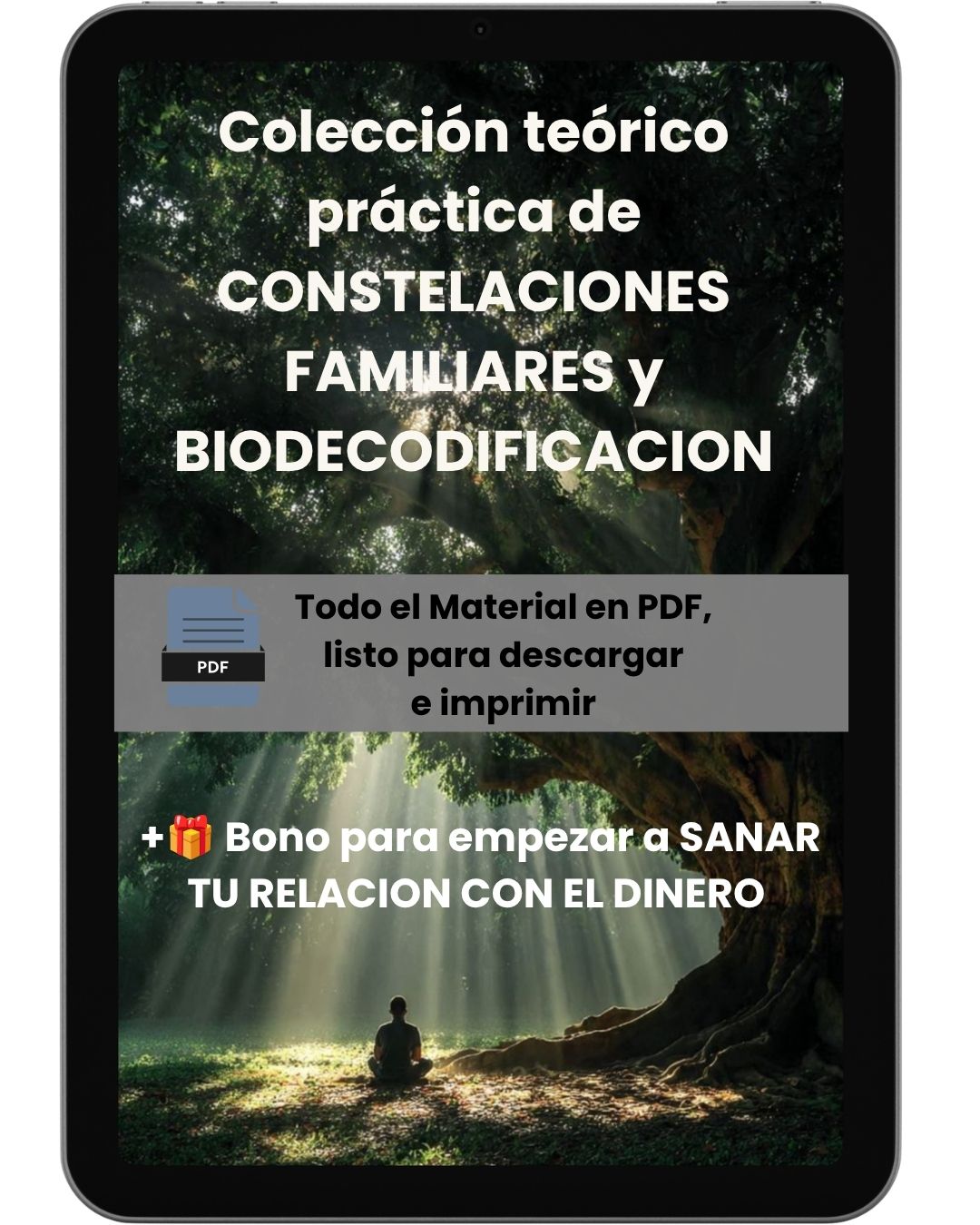 Constelaciones Familiares y Biodecodificación para Sanar Tu Vida. Descifra los mensajes de tu cuerpo y tu linaje.